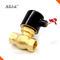 Brass Steam Solenoid Valve 1.6 Mpa With G Thread Connector CE Certification