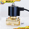 IP68 Underwater Solenoid Valve For Water Line , Normally Closed Dancing Fountain Valve