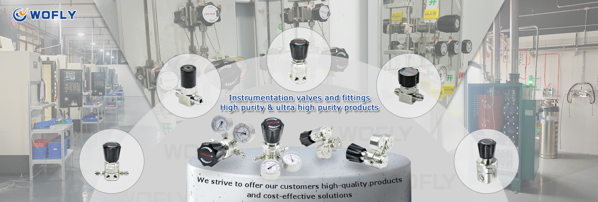 Quality Stainless Steel Pressure Regulator factory