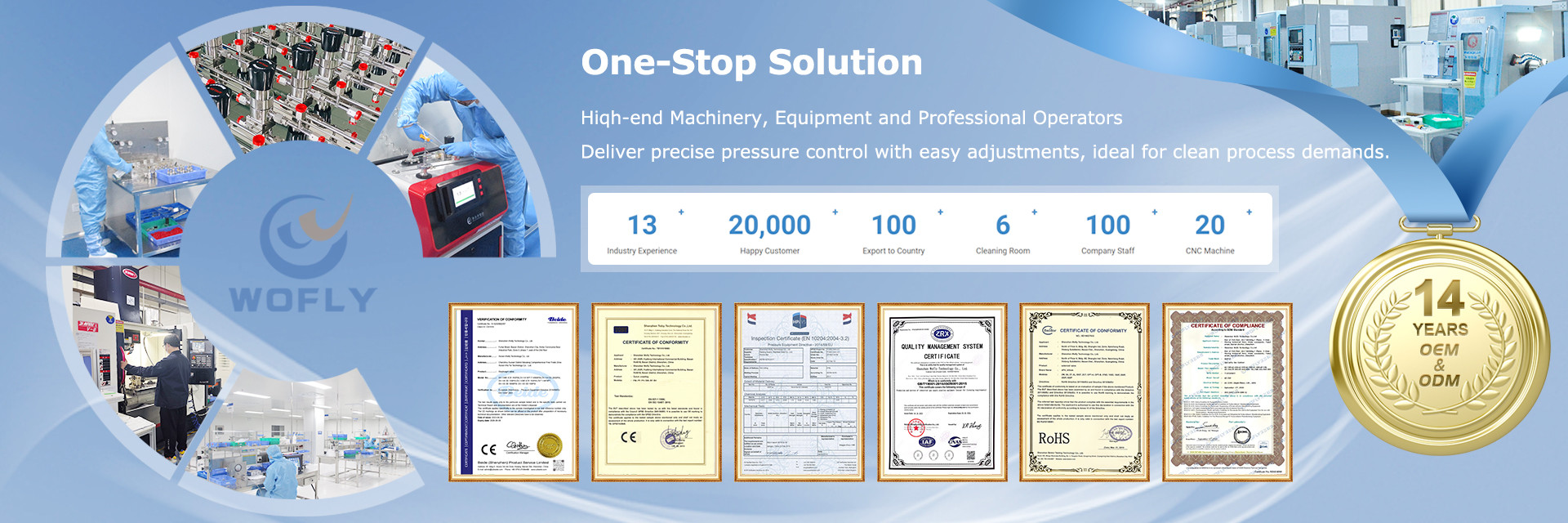 Quality Stainless Steel Pressure Regulator factory