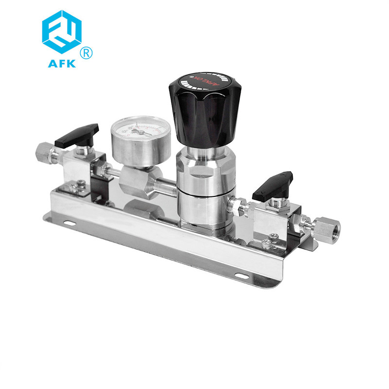 WL400 stainless steel high Pressure Nitrogen Gas Pressure Regulator Two