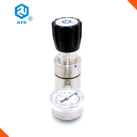 Stainless Steel Low Pressure Back Pressure Regulator Relief Regulator