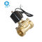 Brass IP68 Internal Thread Water Solenoid Valve 2 Inch AC220V