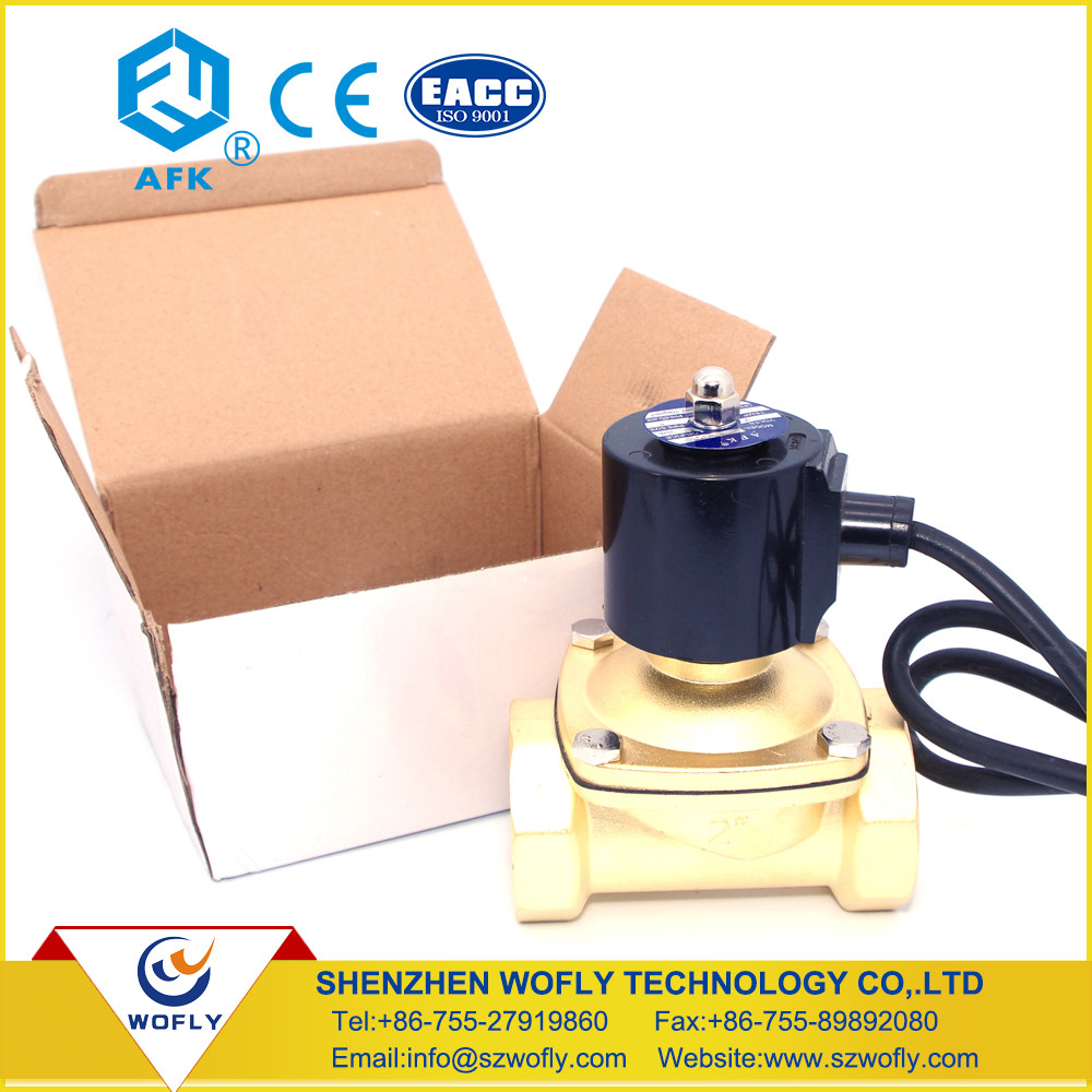 12 Volt Water Fountain Solenoid Valve 40mm With BSP Connector 010 Bar