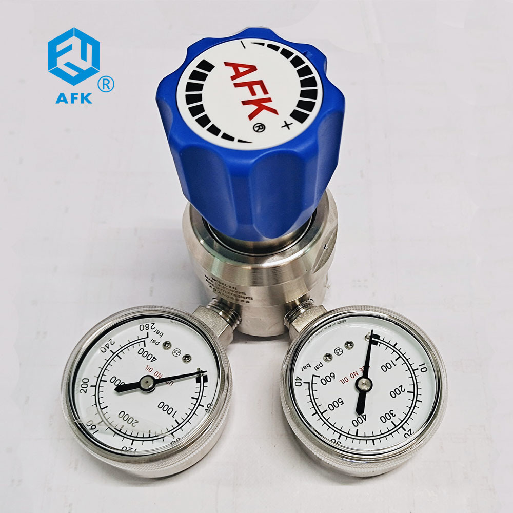 6mm OD R11 Double Gauge Pressure Regulator N2 He 4000psi SS Pressure Regulator