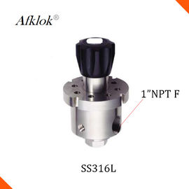 Low Flow 1" NPT Inlet Connect Stainless Steel Back Pressure Valve