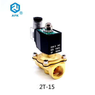 Normally Closed Gas Solenoid Valve 2T Series Brass 1/2" Port AC110V