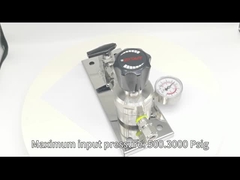 Stainless Steel Pressure Regulator