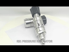 Stainless Steel Pressure Regulator