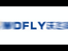 ISO9001 CE Certified 316L Stainless Steel Female T-Type Filter for Water Gas Oil Steam